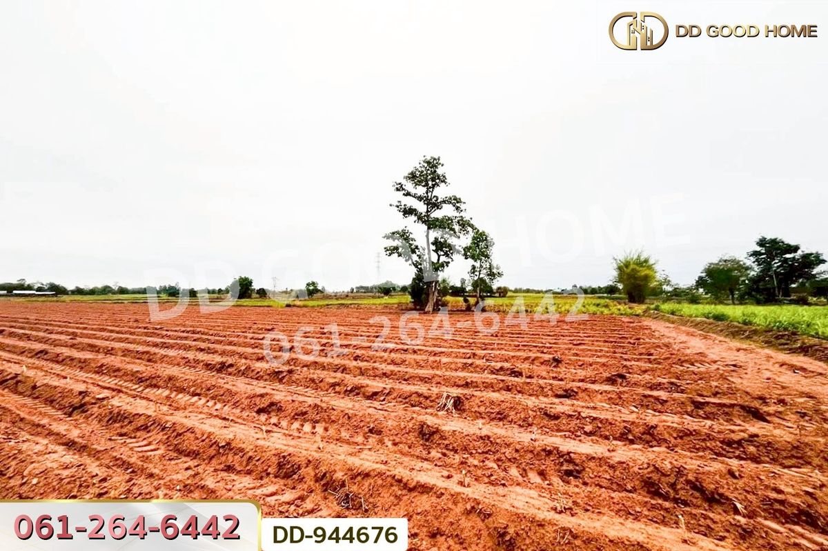 ขายที่ดินอุดรธานี : DD-944676 ที่ดินโนนสะอาด 26 ไร่ 18 ตร.ว.อุดรธานี ใกล้ที่ว่าการอำเภอโนนสะอาด