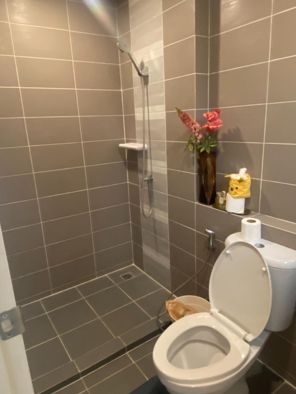 ขายทาวน์โฮมบางนา แบริ่ง ลาซาล : ขายทาวน์เฮ้าส์/ทาวน์โฮม พลีโน่ บางนา-วงแหวน บางพลีใหญ่ บางพลี สมุทรปราการ CX-141304