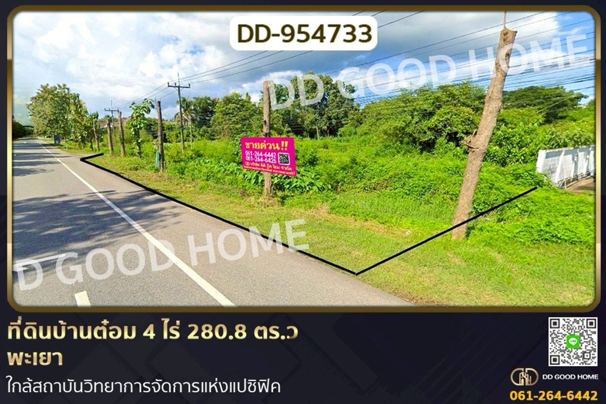 ขายที่ดินพะเยา : DD-954733 ที่ดินบ้านต๋อม 4 ไร่ 280.8 ตร.ว พะเยา ใกล้สถาบันวิทยาการจัดการแห่งแปซิฟิค