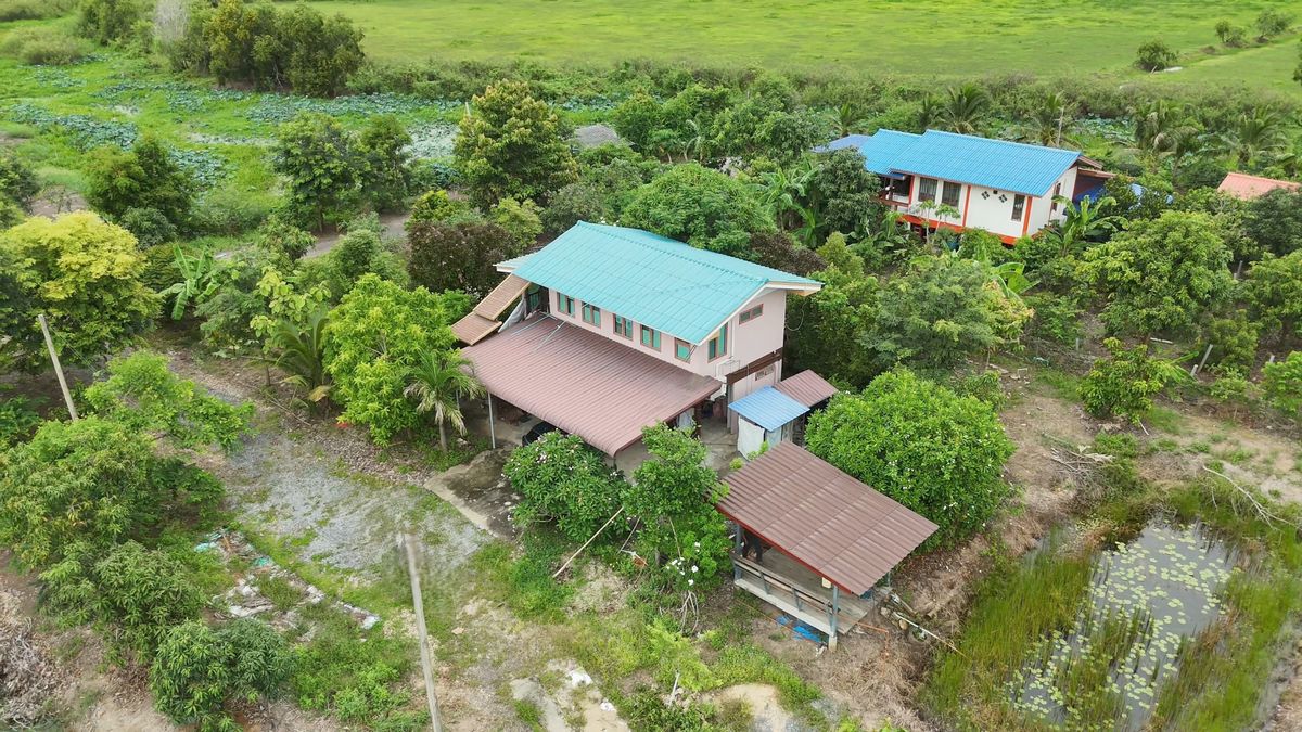 ขายบ้านนครนายก : ขายบ้านสวนบรรยากาศธรรมชาติ ใกล้แยกองครักษ์–มศว.นครนายก