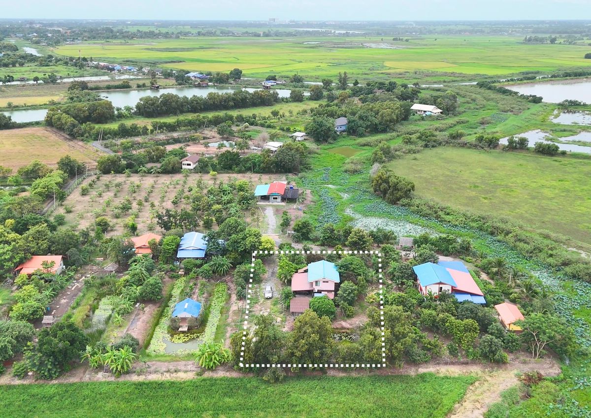 ขายบ้านนครนายก : ขายบ้านสวนบรรยากาศธรรมชาติ ใกล้แยกองครักษ์–มศว.นครนายก