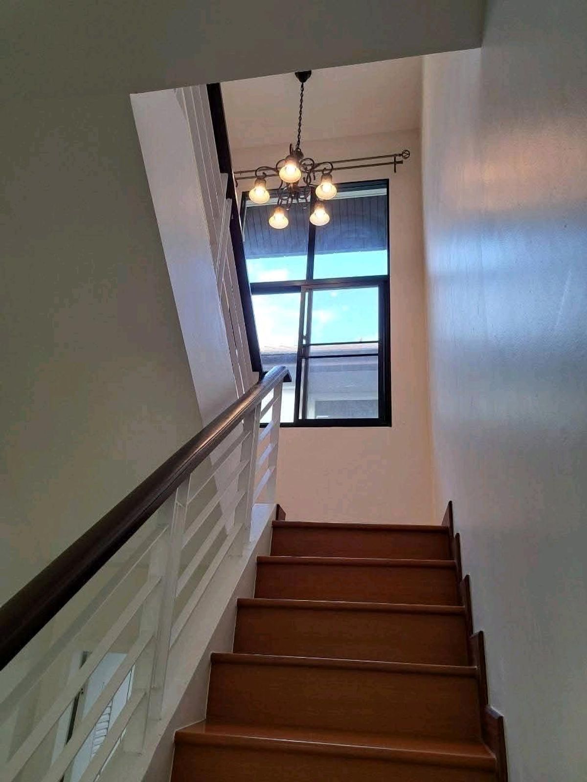 HouseBangna, Bearing, Lasalle : 🔥 Sell / rent a house, convert corner, 300 sq.w., new, new, ready to move 10.5 million‼ ️