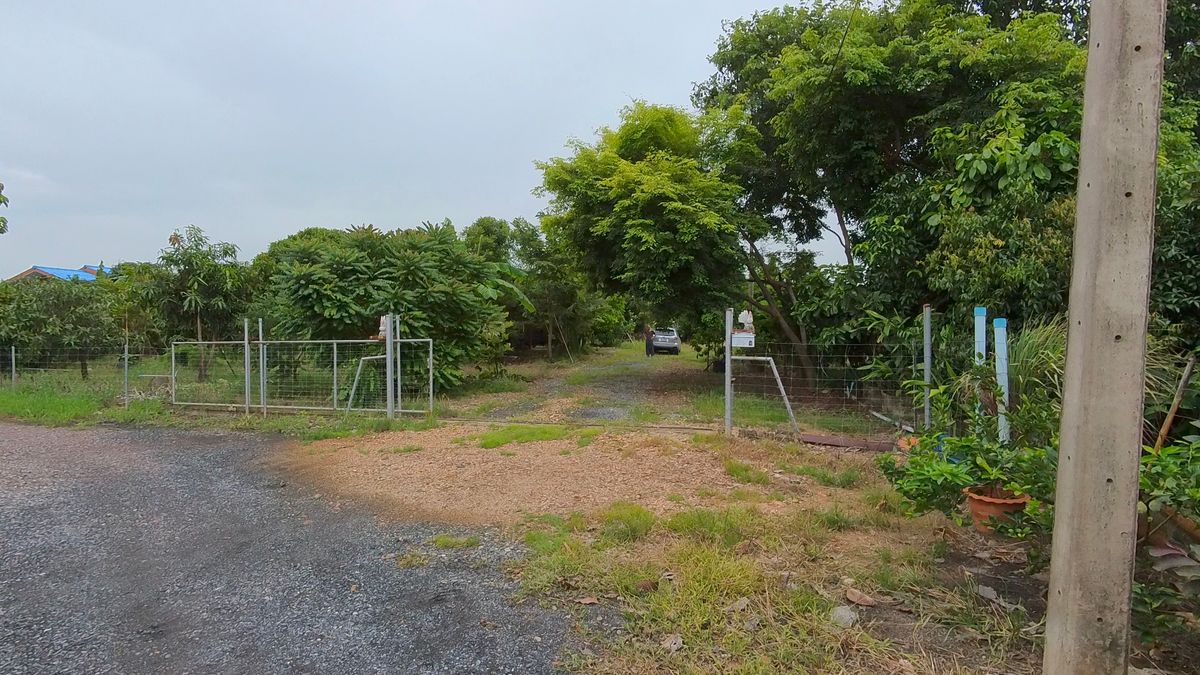 ขายบ้านนครนายก : ขายบ้านสวนบรรยากาศธรรมชาติ ใกล้แยกองครักษ์–มศว.นครนายก