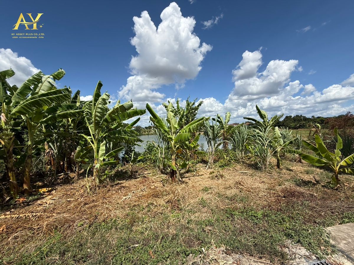 ขายที่ดินนนทบุรี บางใหญ่ บางบัวทอง : ที่ดินเปล่า 3-0-97 ไร่ ต.บางแม่นาง อ.บางใหญ่ ขายถูกมาก เพียง 5,500 บาท/ตรว. สภาพปัจจุบันเป็นบ่อลึกประมาณ 2 เมตร ราคาทั้งแปลงเพียง  7.13  ล้านเท่านั้น🔥