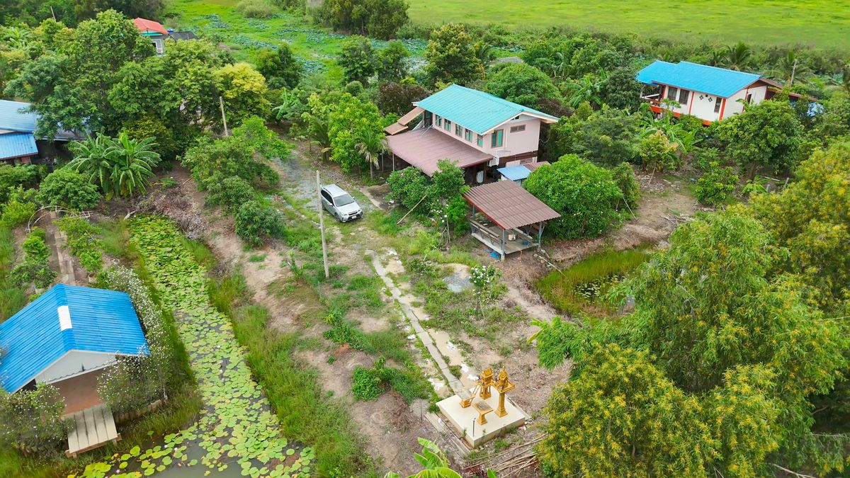 ขายบ้านนครนายก : ขายบ้านสวนบรรยากาศธรรมชาติ ใกล้แยกองครักษ์–มศว.นครนายก
