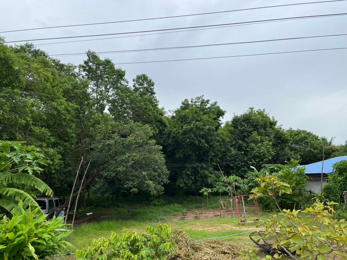 ขายที่ดินสุพรรณบุรี : ขายที่ดิน ตำบลไร่รถ อำเภอดอนเจดีย์ จังหวัดสุพรรณบุรี ที่ดินปลูกพยุง