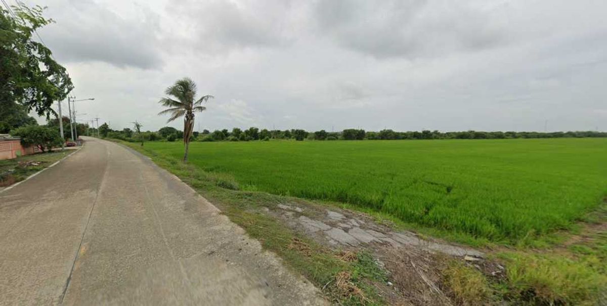 ขายที่ดินปทุมธานี รังสิต ธรรมศาสตร์ : ขาย ที่ดินเปล่า ผังสีเขียว ปทุมธานี ลาดหลุมแก้ว ระแหง 45 ไร่ 40 ตร.ว.