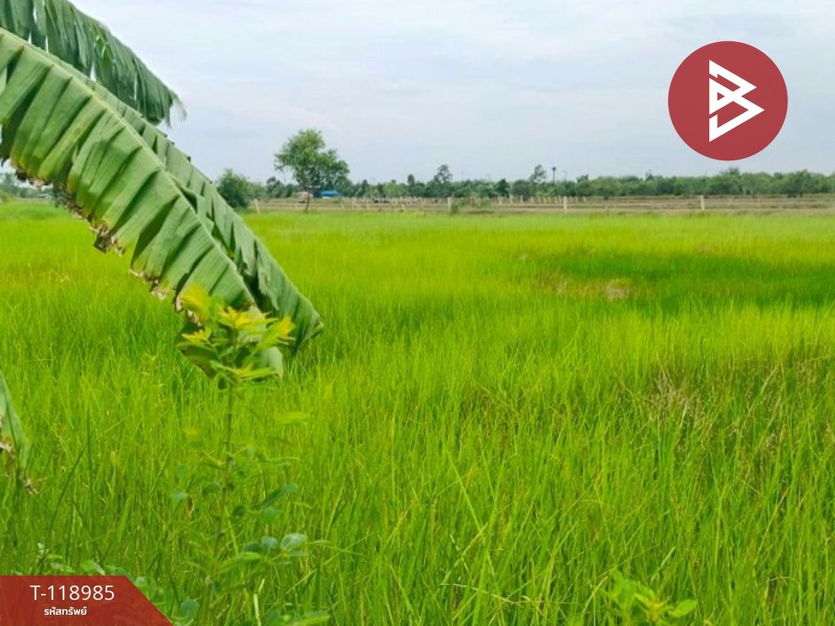 ขายที่ดินนครนายก : ขายที่ดินจัดสรรแปลงสวย เนื้อที่ 2 ไร่ องครักษ์ นครนายก ทำเลดี