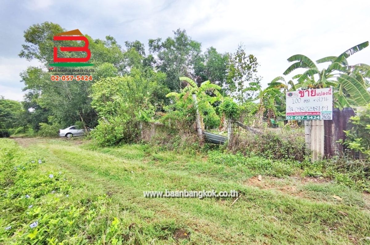 ขายที่ดินมีนบุรี-ร่มเกล้า : ที่ดิน ถมแล้ว ซอยมิตรไมตรี 2/2 เนื้อที่ 100 ตรว. ถนนมิตรไมตรี เขตหนองจอก กรุงเทพฯ