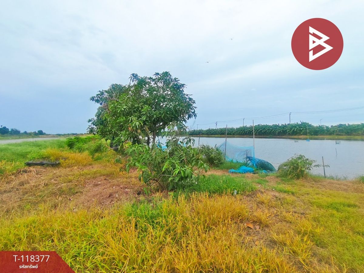 ขายที่ดินสมุทรปราการ สำโรง : ขายที่ดิน เนื้อที่ 6 ไร่ 2 งาน 53 ตร.วา บางเสาธง สมุทรปราการ