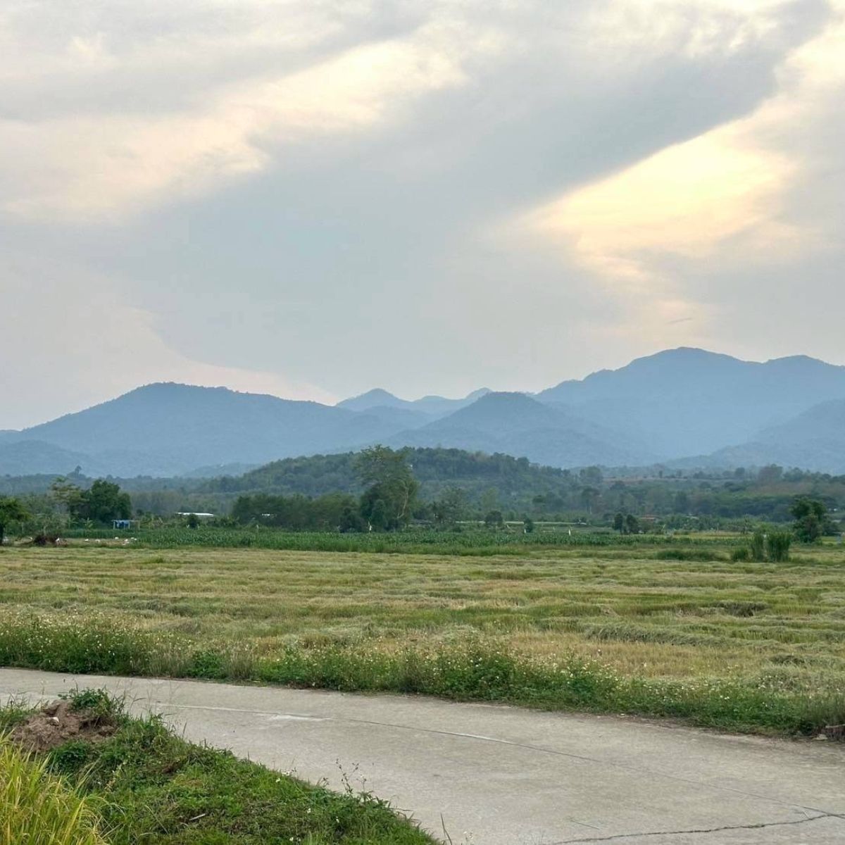 ขายที่ดินเชียงใหม่ : 💥 ที่ดินแปลงสวย เมืองฝาง จ.เชียงใหม่ วิวเขา อากาศดี ดินอุดม🍃 เหมาะมากสำหรับทำบ้านสวน บ้านพักตากอากาศ สวนเกษตร หรือคาเฟ่ชิค ๆ 🌳