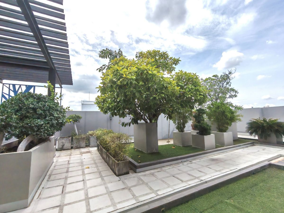 ขายคอนโดสุขุมวิท อโศก ทองหล่อ : ขายด่วน❗คอนโด ดิ เอซ เอกมัย (The Ace Ekamai) ห้องพิเศษสำหรับครอบครัว ใกล้โรงเรียนนานาชาติเอกมัย เพียง 400 เมตร