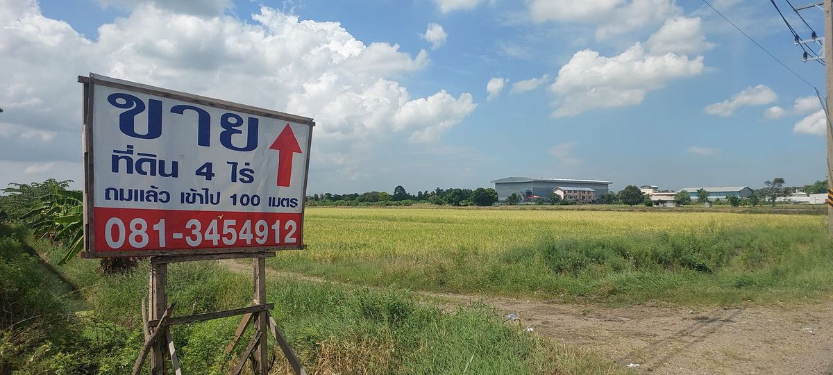 ขายโกดังปทุมธานี รังสิต ธรรมศาสตร์ : ขายที่ดินคลอง14 ลำลูกกา  ที่ดินถมแล้ว 