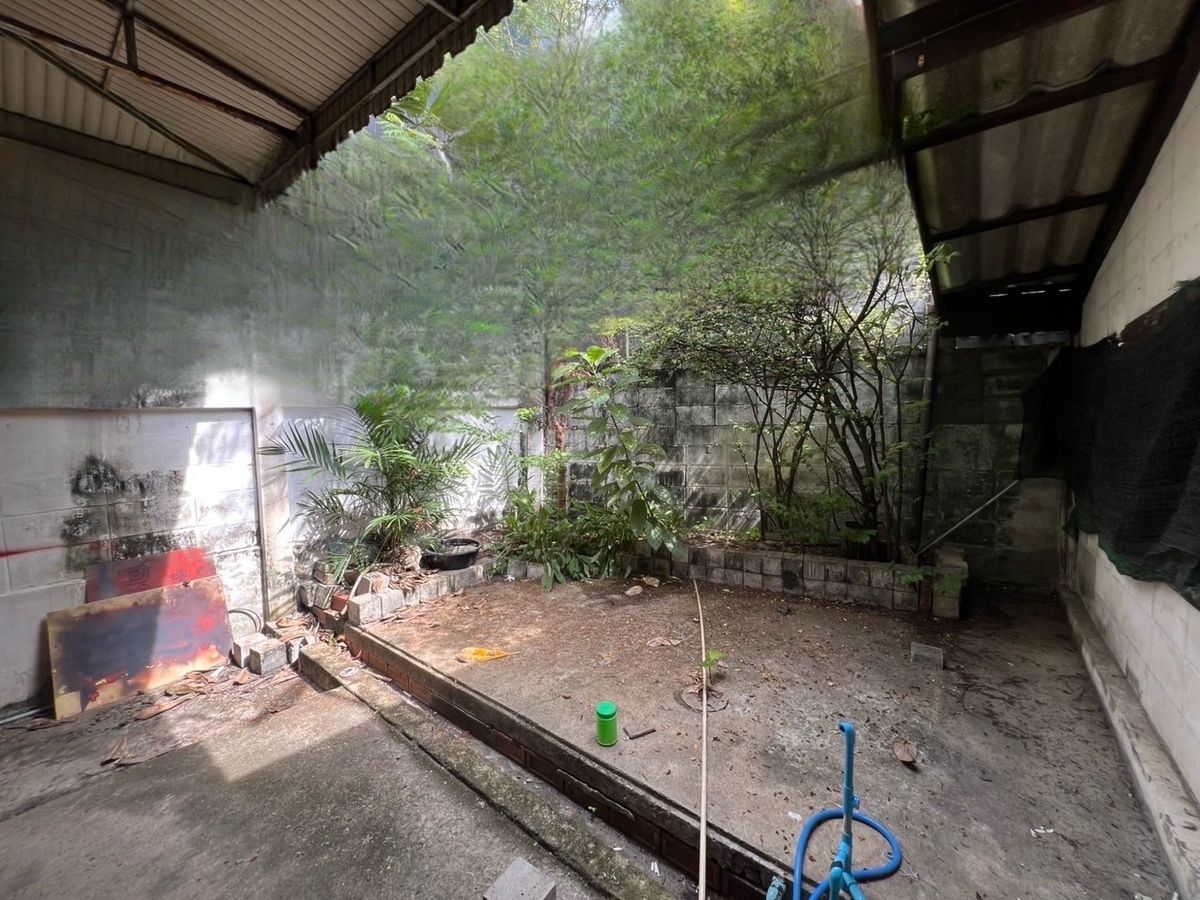 ให้เช่าร้านค้า/ตลาดนัดสุขุมวิท อโศก ทองหล่อ : ปล่อยเช่าบ้านเดี่ยวเอกมัย 1 ไร่ สำหรับ คาเฟ่ / ร้านอาหาร / สปา ออนเซน / โรงเรียน / Community / Art Space / Gym - Fitness / สวนอาหาร / Find Dining / โรงเรียนสอนทำขนม เบเกอรี่