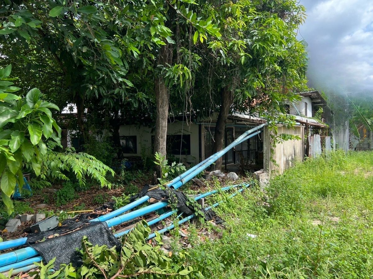 ให้เช่าร้านค้า/ตลาดนัดสุขุมวิท อโศก ทองหล่อ : ปล่อยเช่าบ้านเดี่ยวเอกมัย 1 ไร่ สำหรับ คาเฟ่ / ร้านอาหาร / สปา ออนเซน / โรงเรียน / Community / Art Space / Gym - Fitness / สวนอาหาร / Find Dining / โรงเรียนสอนทำขนม เบเกอรี่