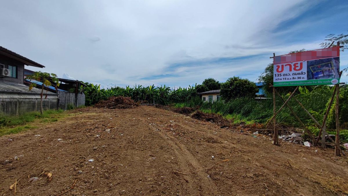 ขายที่ดินปทุมธานี รังสิต ธรรมศาสตร์ : ลงทุนคุ้มค่า! ที่ดินถมแล้ว ผังสีแดง กลางชุมชน ราคาสบายกระเป๋า ขายที่ดินเปล่า 135 ตร.ว. โครงการหมู่บ้านธรรมสุธีร์ ปทุมธานี (ซอย 7) – ถมแล้ว พร้อมต่อยอดทันที