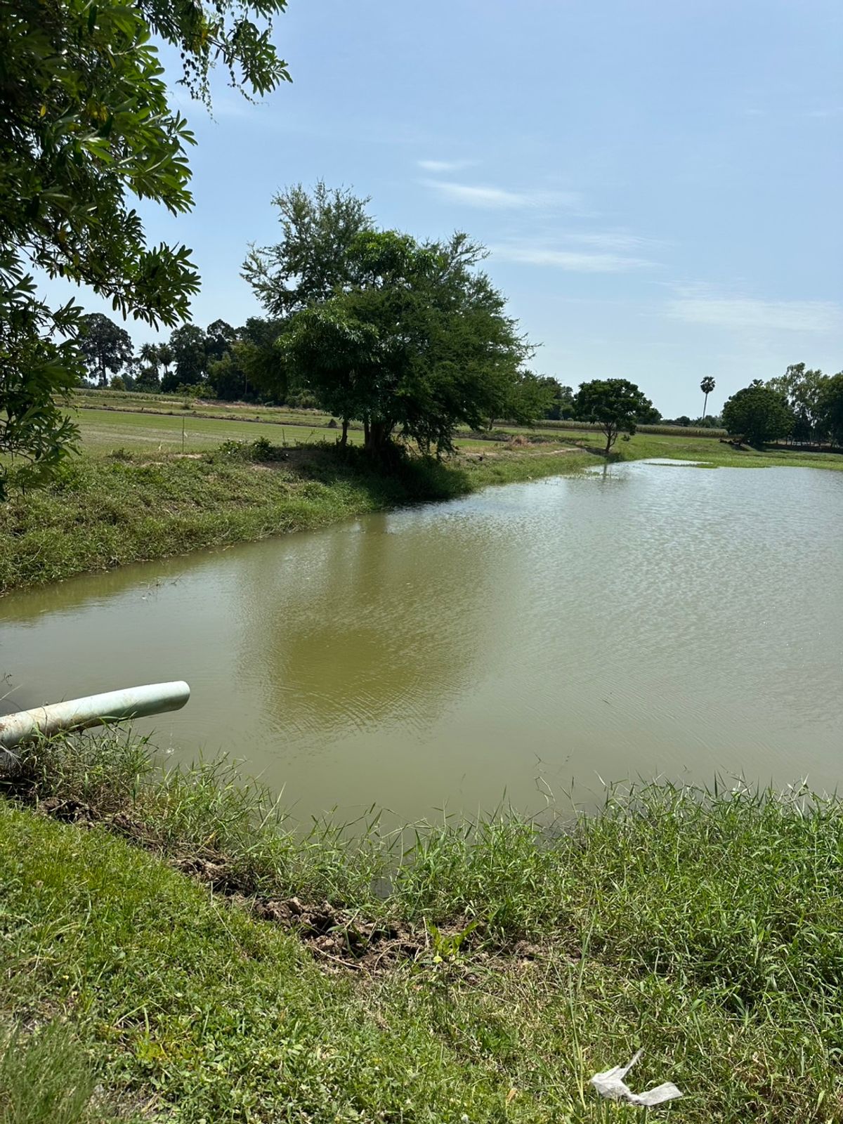 For SaleLandChai Nat : TP926 Beautiful Land for sale, Golden Land, Chainat Land, Sankhaburi 23 Rai 46.6 square wah