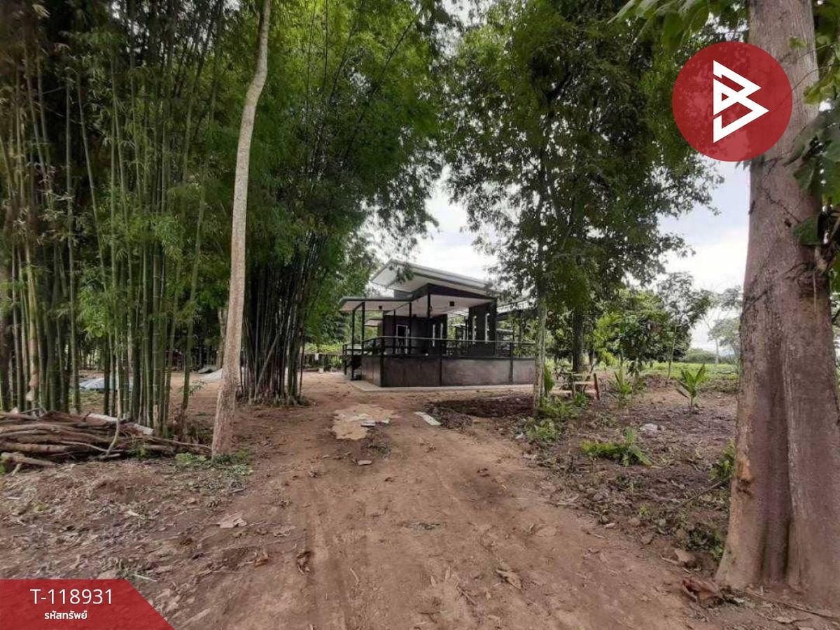 ขายที่ดินเชียงราย : ขายที่ดิน เนื้อที่ 20 ไร่ 2 งาน 19.7 ตร.วา บ้านดู่ เชียงราย