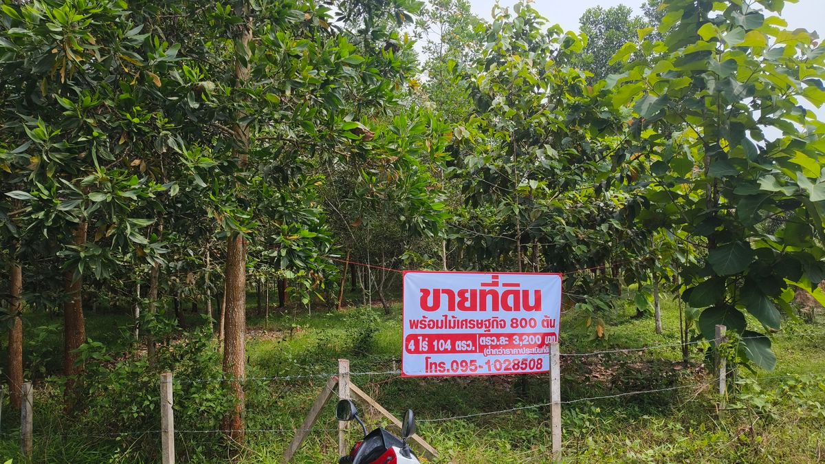 ขายที่ดินตรัง : ที่ดิน ต่ำกว่าราคาประเมิน