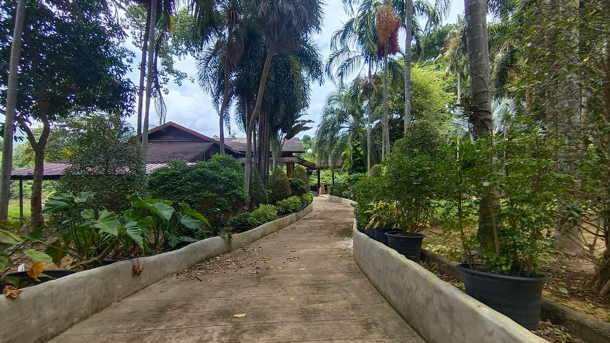 ขายที่ดินกาญจนบุรี : โอกาสทองของนักลงทุน และผู้ที่มองหาที่ดินเพื่อการพักผ่อน ที่ดินวิวภูเขา