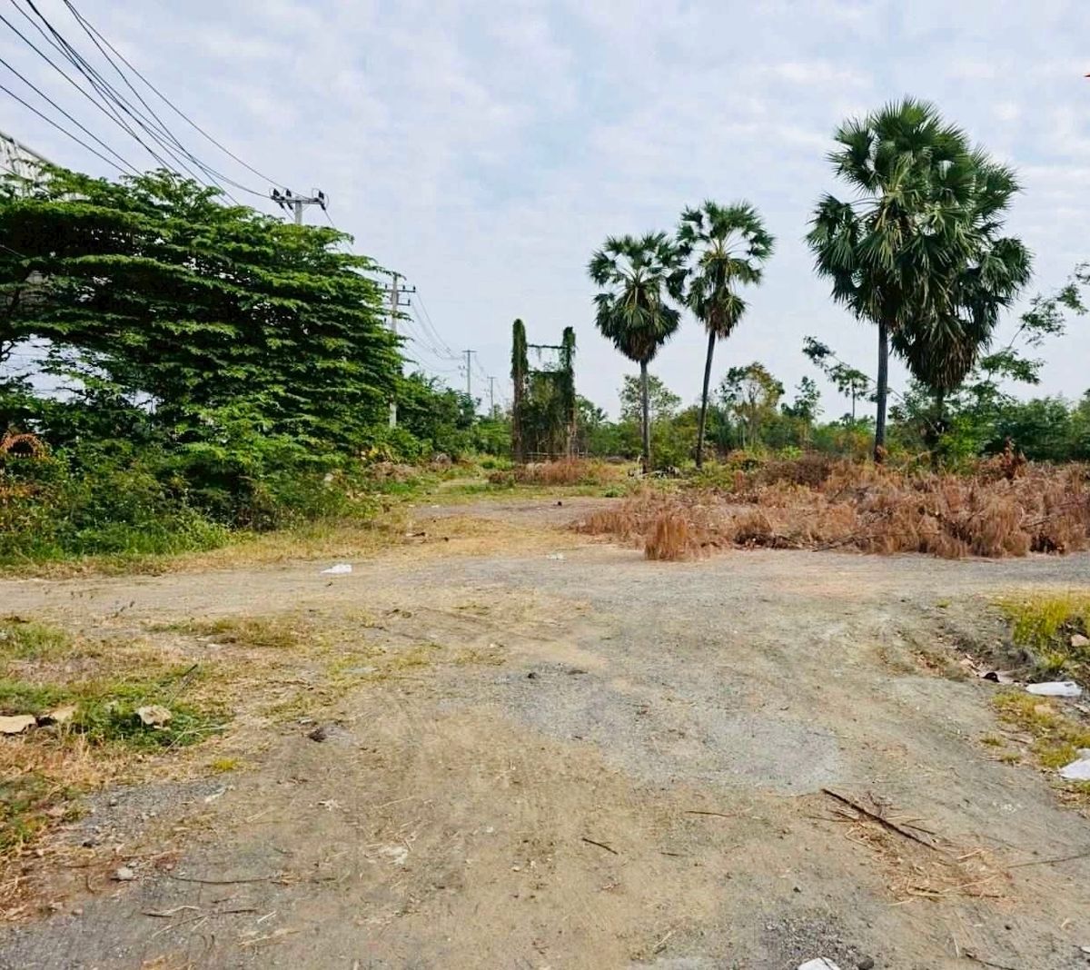 ขายที่ดินบางแค เพชรเกษม : ขายที่ดินแปลงสวย ติดถนนเพชรเกษม อำเภอเมืองเพชรบุรี รหัส : L8046