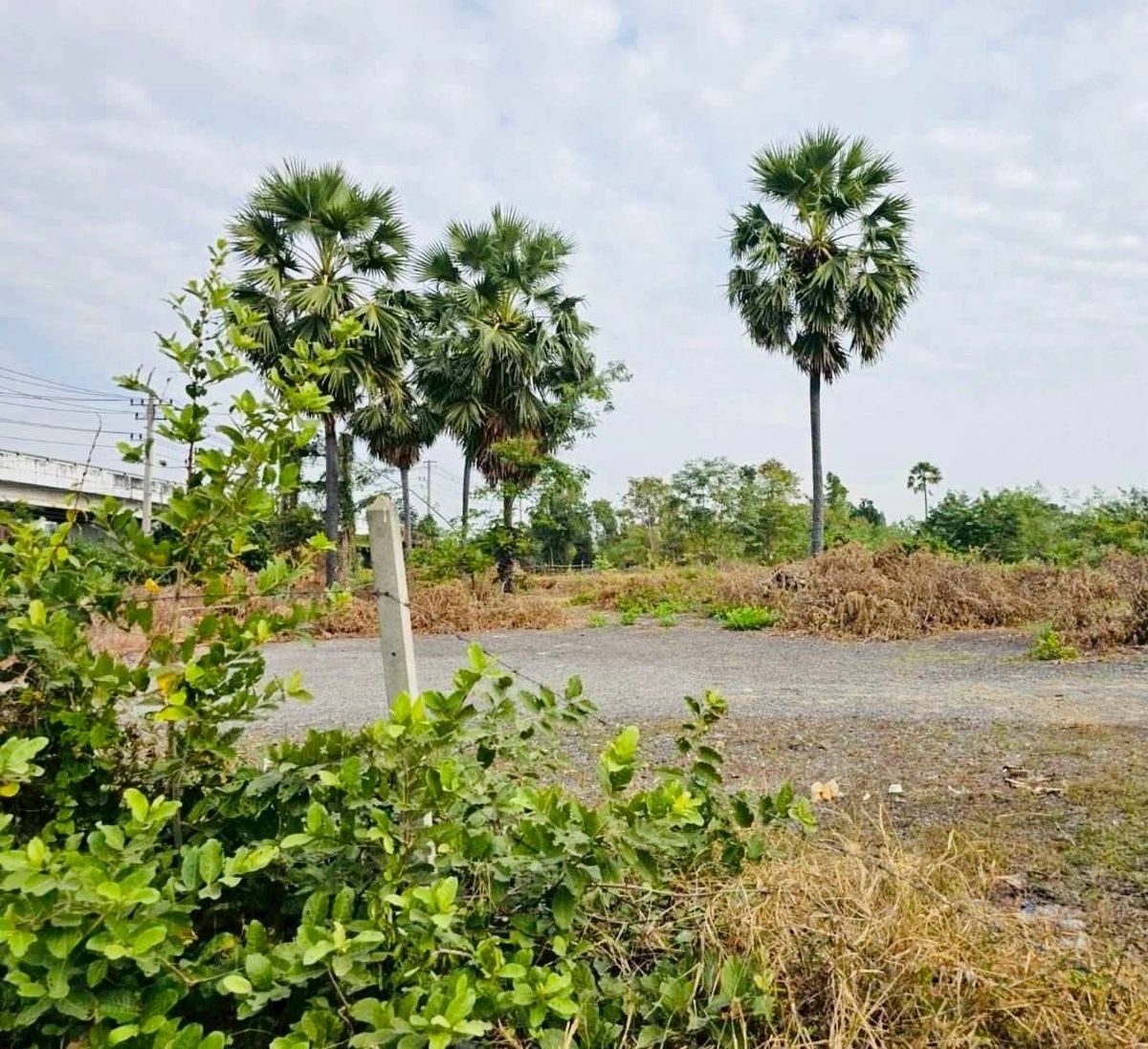 ขายที่ดินบางแค เพชรเกษม : ขายที่ดินแปลงสวย ติดถนนเพชรเกษม อำเภอเมืองเพชรบุรี รหัส : L8046