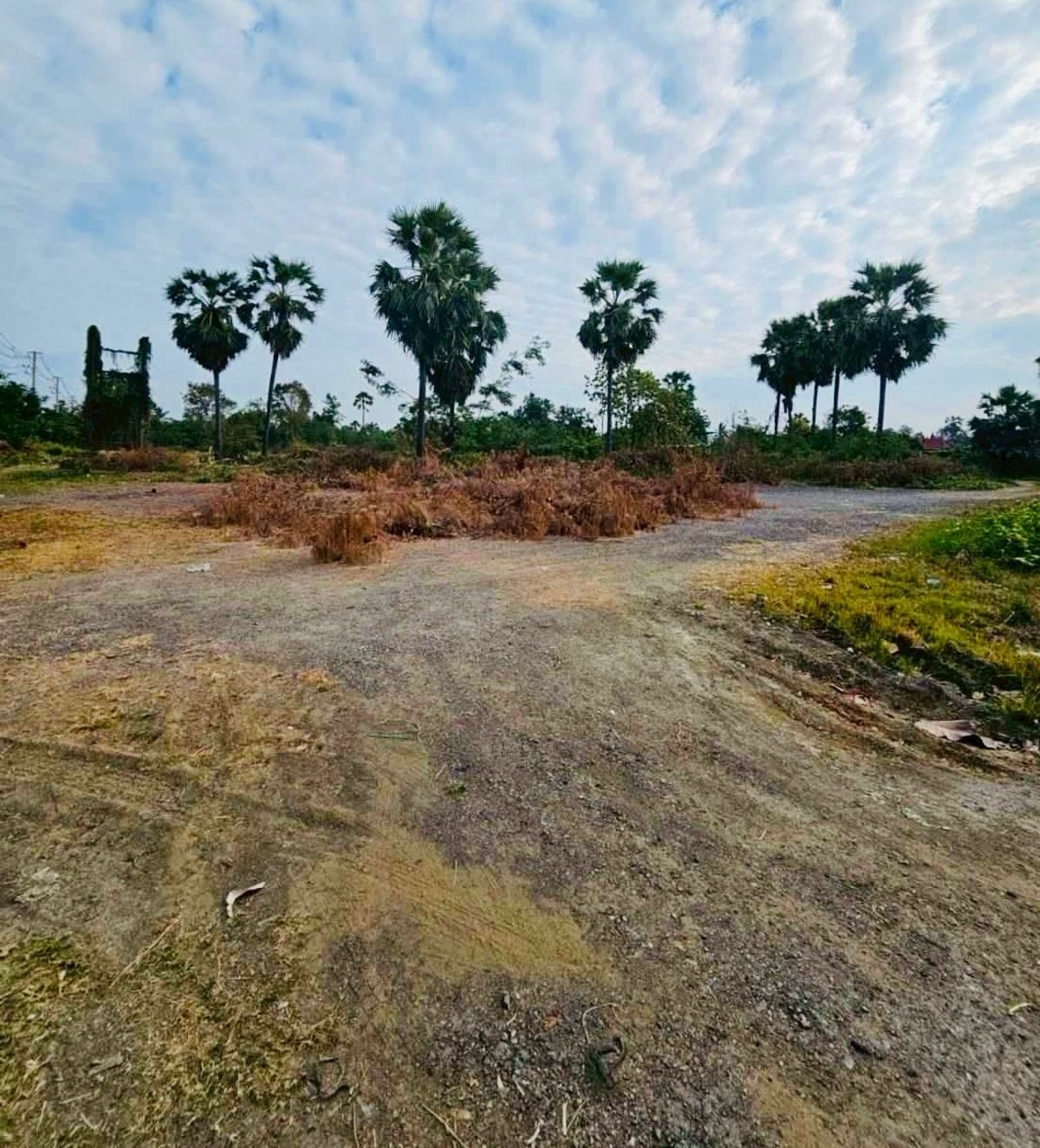 ขายที่ดินบางแค เพชรเกษม : ขายที่ดินแปลงสวย ติดถนนเพชรเกษม อำเภอเมืองเพชรบุรี รหัส : L8046