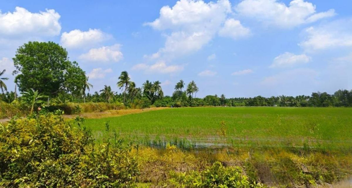 ขายกิจการโรงแรม & กิจการอพาร์ตเมนต์นครปฐม : ที่ดินราคาดี เพียง 4.5 กม.จากเซ็นทรัล ศาลายา, 1.4 กม.จากถ.บรมราชชนนี ติดถนนคอนกรีต  17-3-27 ไร่ 