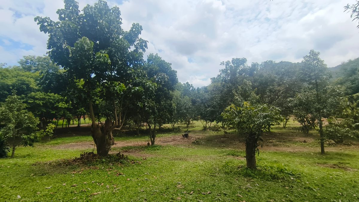 ขายที่ดินกาญจนบุรี : โอกาสทองของนักลงทุน และผู้ที่มองหาที่ดินเพื่อการพักผ่อน ที่ดินวิวภูเขา