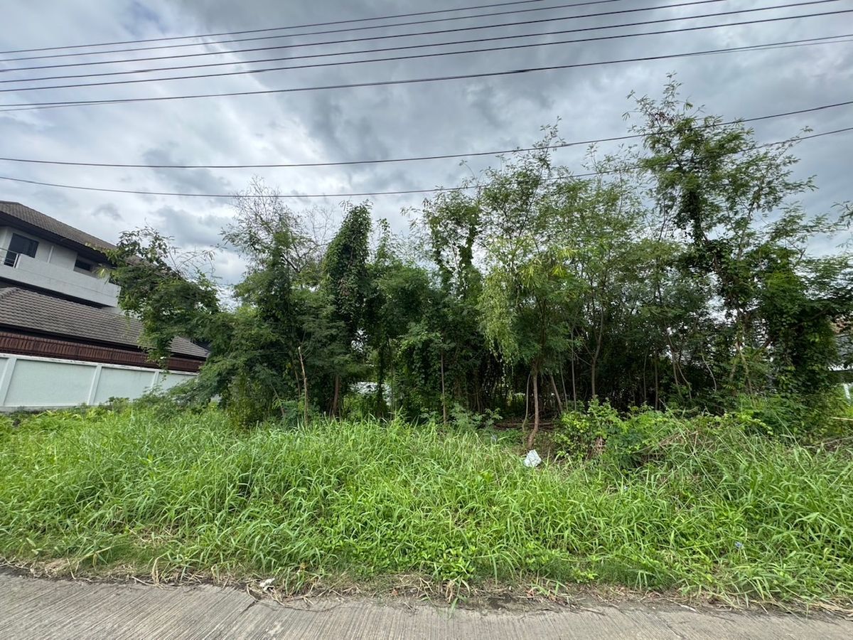 ขายที่ดินแจ้งวัฒนะ เมืองทอง : ที่ดินเมืองทองธานี ถมแล้ว พร้อมสร้าง