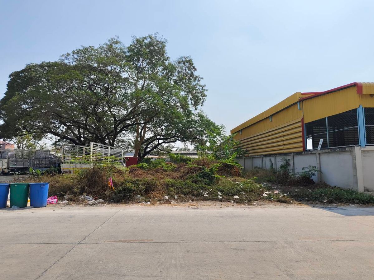 ขายที่ดินปทุมธานี รังสิต ธรรมศาสตร์ : ที่ดิน ใกล้ตลาดไท เพียง 1 กม.จากถนนคลองหลวง ซอยเทพกุญชร 7 ขนาด 200 ตร.วา ทำเลดี