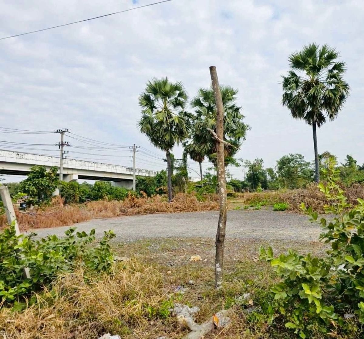 ขายที่ดินบางแค เพชรเกษม : ขายที่ดินแปลงสวย ติดถนนเพชรเกษม อำเภอเมืองเพชรบุรี รหัส : L8046