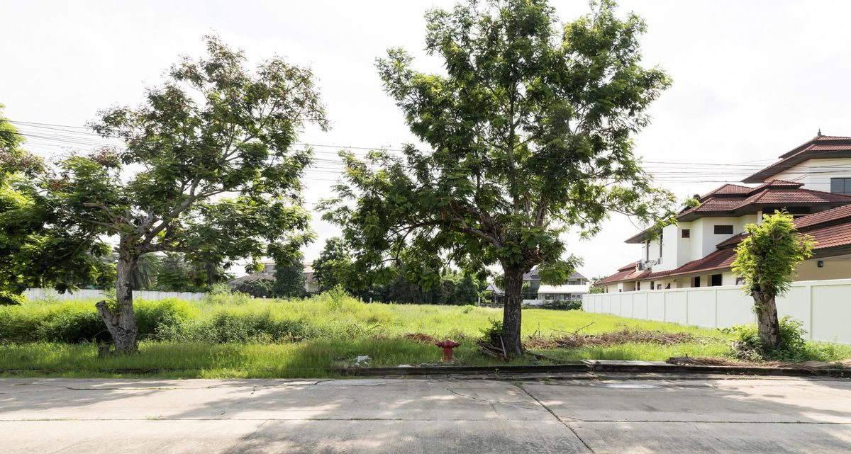 ขายที่ดินบางนา แบริ่ง ลาซาล : ▪️ขายที่ดินแปลงสวย ด้านหลังติดริมน้ำ หมู่บ้านวินด์มิลล์ ▪️