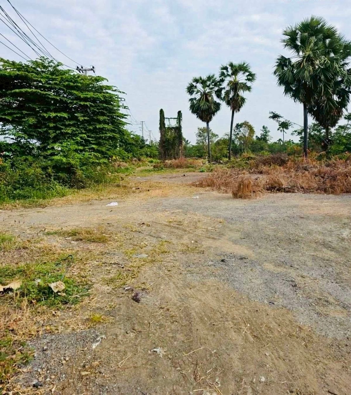 ขายที่ดินบางแค เพชรเกษม : ขายที่ดินแปลงสวย ติดถนนเพชรเกษม อำเภอเมืองเพชรบุรี รหัส : L8046