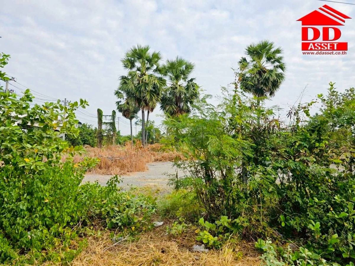 ขายที่ดินบางแค เพชรเกษม : ขายที่ดินแปลงสวย ติดถนนเพชรเกษม อำเภอเมืองเพชรบุรี รหัส : L8046