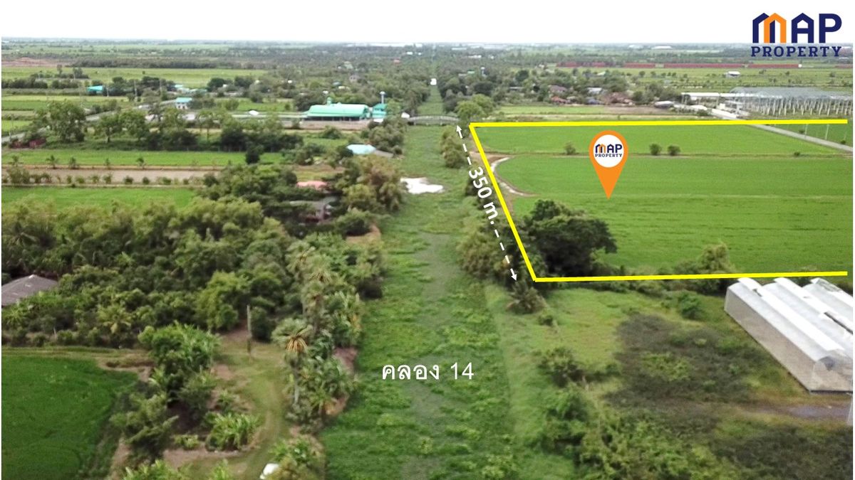 ขายที่ดินปทุมธานี รังสิต ธรรมศาสตร์ : ขายที่ดินแปลงใหญ่ ติดถนน 2 ด้านหัวท้าย 290 ไร่