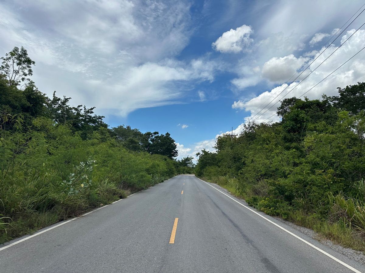 ขายที่ดินโคราช นครราชสีมา : ขาย ที่ดิน ติดถนนลาดยาง ติดถนน 2 ด้าน ต.หนองหญ้าขาว อ.สีคิ้ว จ.นครราชสีมา ใกล้เขื่อนลำตะคอง