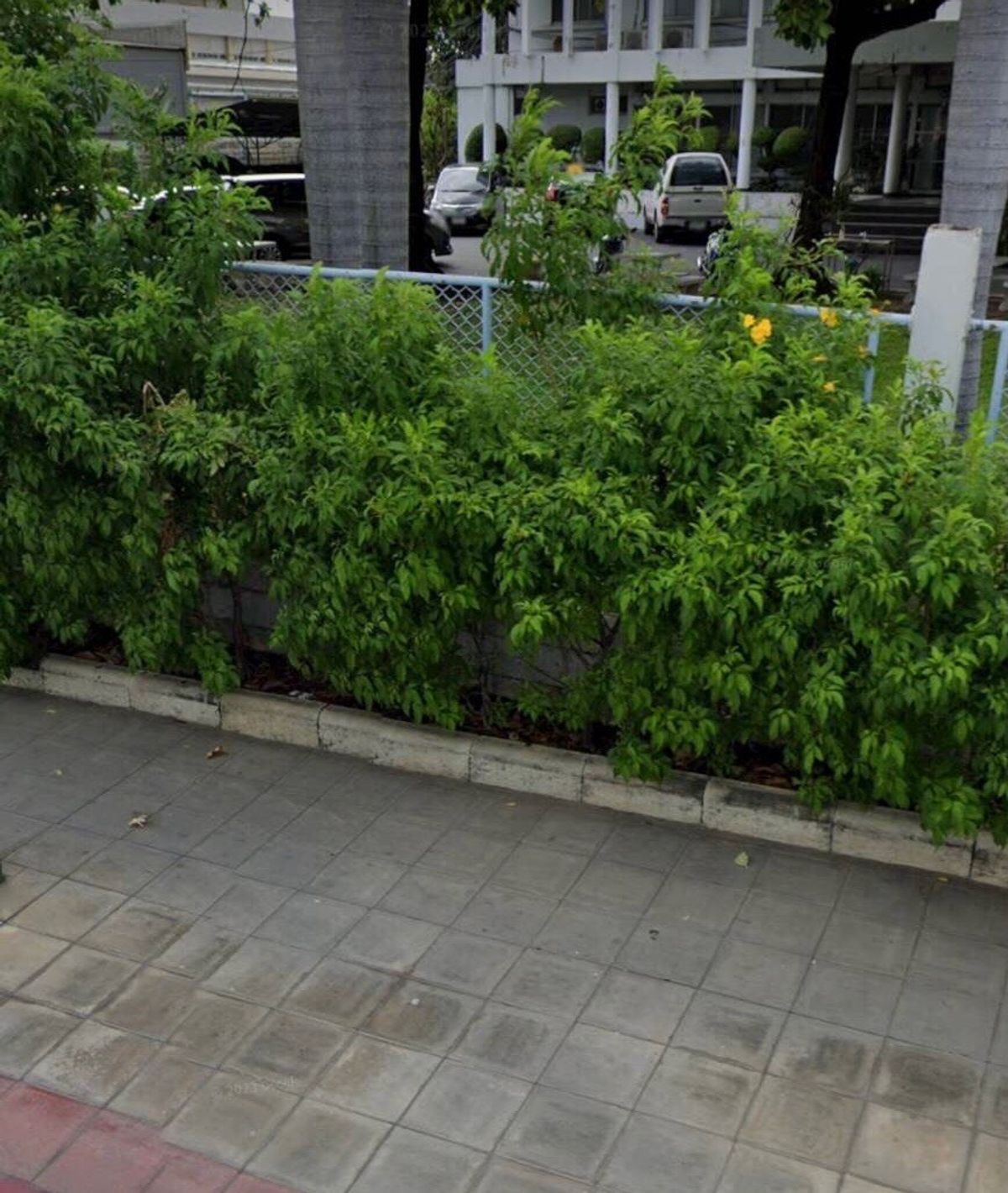 ขายที่ดินเสรีไทย-นิด้า : ขายที่ดินพร้อมสิ่งปลูกสร้าง ถนนเสรีไทย เนื้อที่ 13-293ไร่ แขวง/เขต มีนบุรี กรุงเทพมหานคร