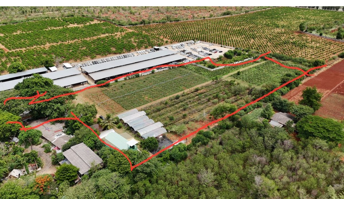 For SaleLandPak Chong KhaoYai : Land for Sell Khao Yai Main Road Mittraphap Road KM 45-46: 14 RAIS 85,000,000 AM: 0656199198