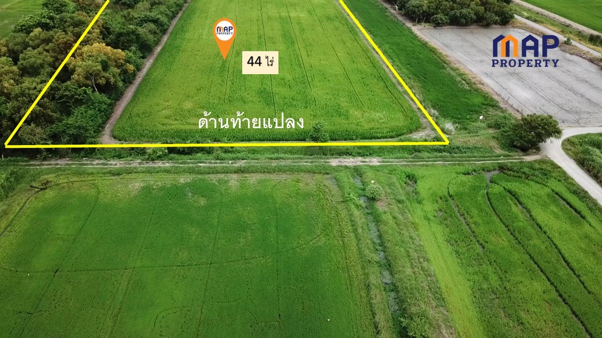 ขายที่ดินปทุมธานี รังสิต ธรรมศาสตร์ : ขายที่ดินสวนเกษตรผสมผสาน  44 ไร่ ติดถนนเลียบ คลอง 13