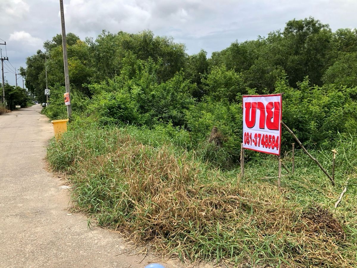ที่ดินอยุธยา : ขายหรือเช่าที่ดินเปล่าในซอยหมู่บ้านลาดบัวหลวง ขนาด 3 งาน
