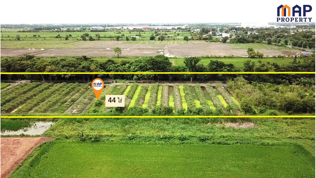 ขายที่ดินปทุมธานี รังสิต ธรรมศาสตร์ : ขายที่ดินสวนเกษตรผสมผสาน  44 ไร่ ติดถนนเลียบ คลอง 13