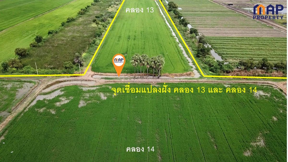 ขายที่ดินปทุมธานี รังสิต ธรรมศาสตร์ : ขายที่ดินแปลงใหญ่ ติดถนน 2 ด้านหัวท้าย 290 ไร่