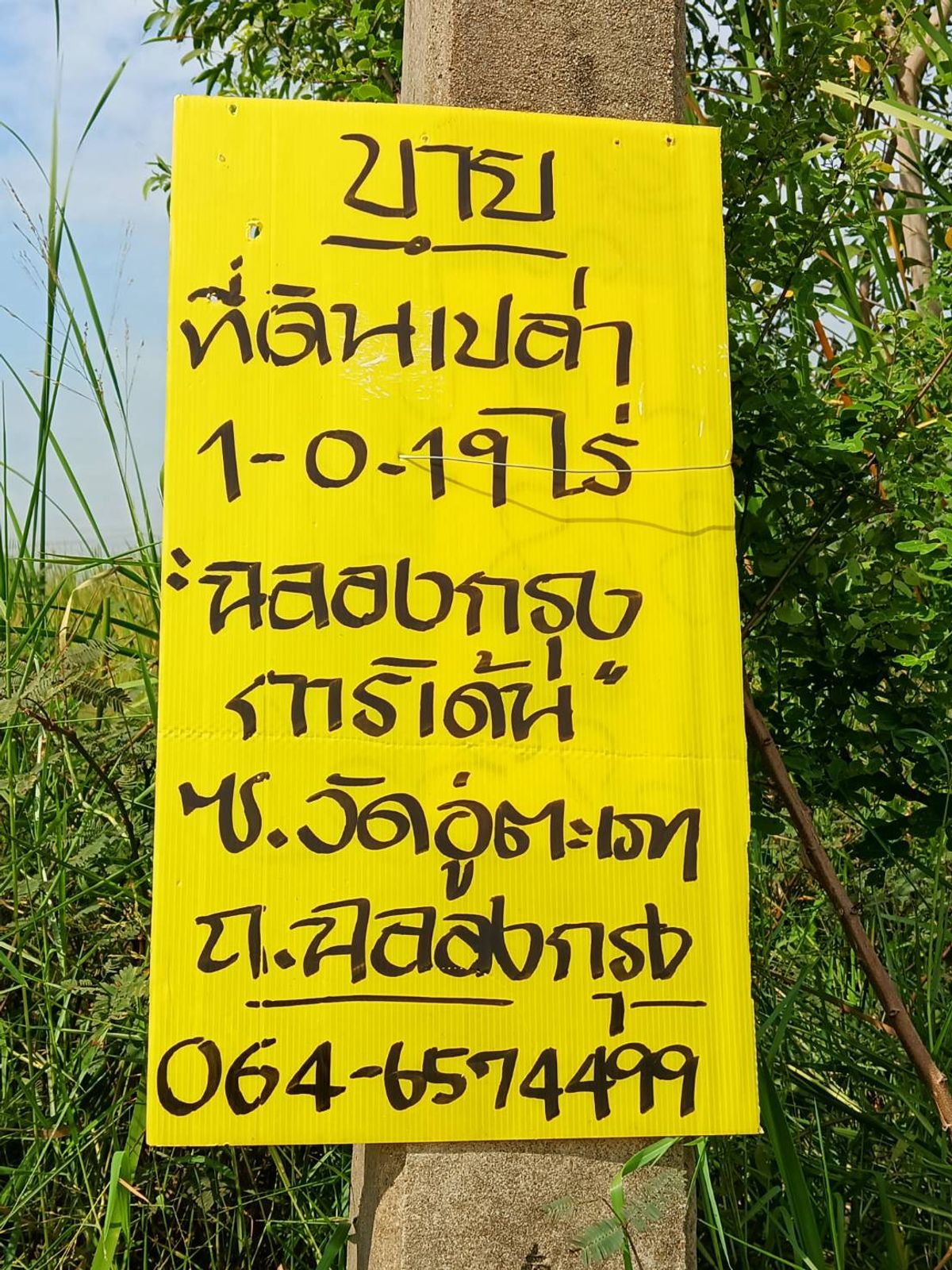 ขายที่ดินลาดกระบัง สุวรรณภูมิ : ขายถูก! ! ที่ดิน2แปลง ติดกัน แปลงละ419ตร.ว. หน้ากว้าง30 เมตร  โครงการฉลองกรุงการ์เด้น ซอยวัดอู่ตะเภา ถนนฉลองกรุง ลำผักชี หนองจอก กรุงเทพ