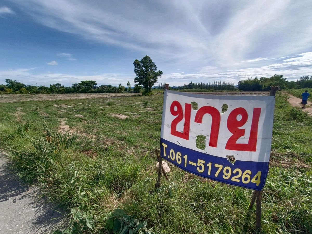 ขายที่ดินชะอำ เพชรบุรี : ที่ดินเปล่า ชะอำ เพชรบุรี