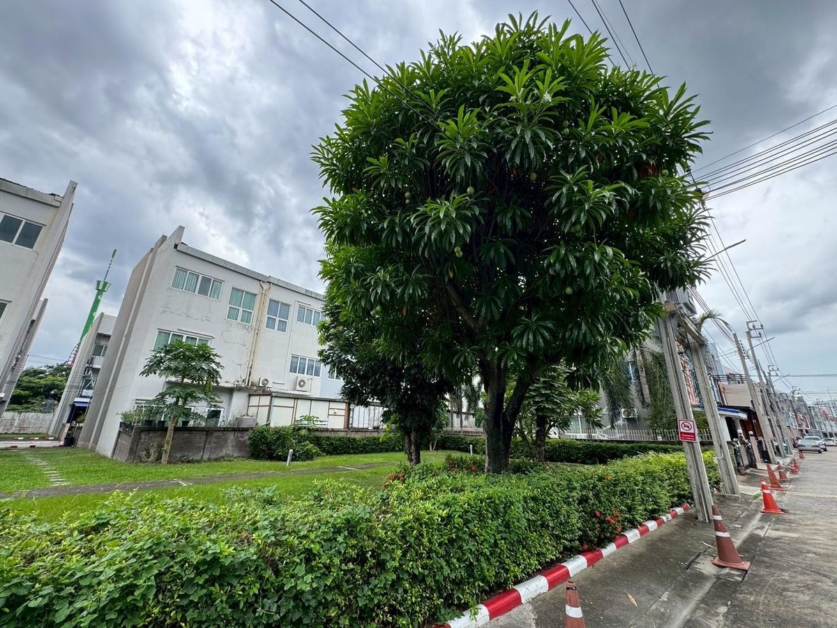 ขายทาวน์โฮมนวมินทร์ รามอินทรา : ทาวน์โฮม 3 ชั้น หมู่บ้านกรีนิช รามอินทรา เฟอร์ฯครบ พร้อมอยู่ ทำเลดีที่สุดในโครงการ ติดถนนใหญ่รามอินทรา  ด่วนราคาพิเศษ ต่อรองได้