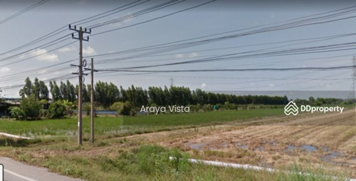 ขายที่ดินนนทบุรี บางใหญ่ บางบัวทอง : ที่ดิน ไทรน้อย นนทบุรี ติดถนน นบ.3004 ใกล้ถนน 340–กาญจนาภิเษก แปลงสี่เหลี่ยม เหมาะโกดัง โลจิสติกส์ เกษตร