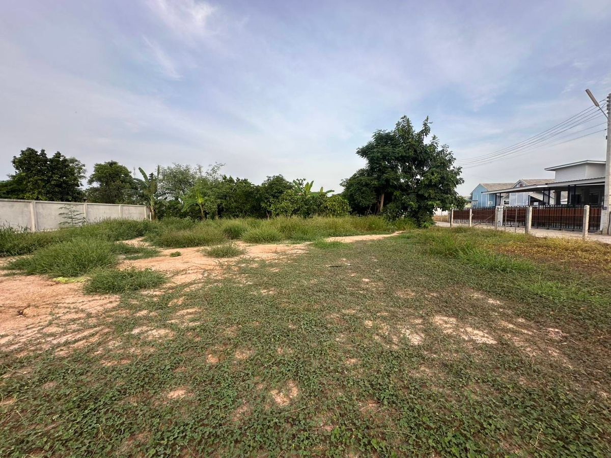 For SaleLandPhitsanulok : Land for sale, gold location, Mueang District, Phitsanulok Province
