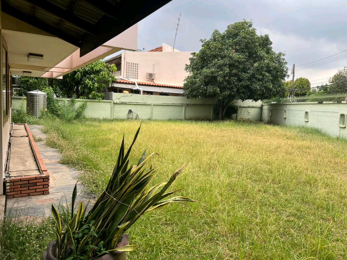 ขายบ้านพัฒนาการ ศรีนครินทร์ : 🏡ที่ดินพร้อมสิ่งปลูกสร้าง 138 ตรว. หลังมุม ถนน2ด้าน 400ม.จากถนนพัฒนาการ เดินทางง่ายไปศรีนครินทร์-อ่อนนุช-สุขุมวิท 📞0994152664, 0803696366