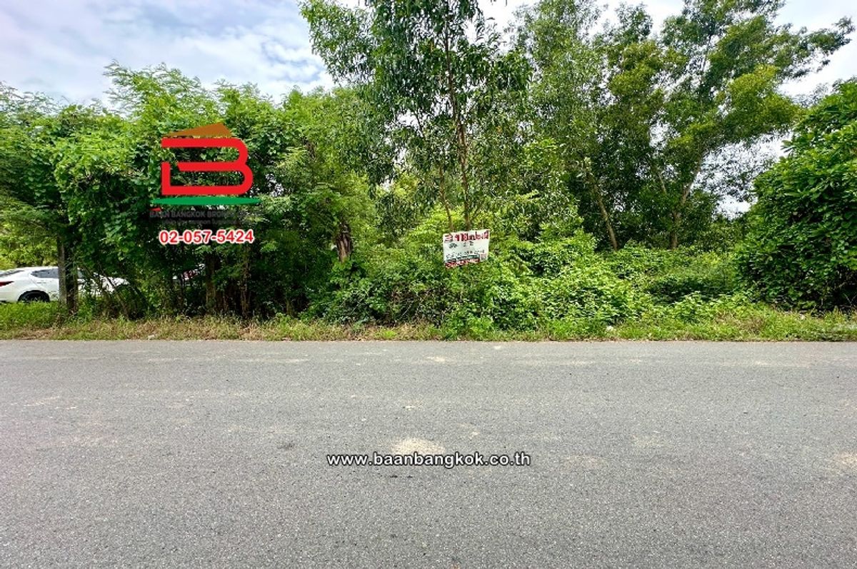 ขายที่ดินปทุมธานี รังสิต ธรรมศาสตร์ : ที่ดินเปล่า ธัญบุรี-คลอง 6 เนื้อที่ 400 ตร.ว (ตรงข้ามศูนย์ฝึกอบรมวิสดอมพาร์ค) ตำบลคลองหก อำเภอคลองหลวง ปทุมธานี